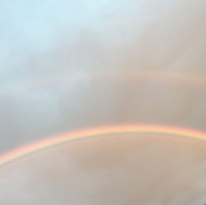 Meet your Posher, Callie